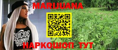 крисы Ставрополь