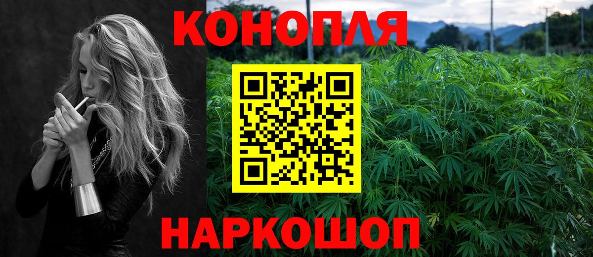 Марихуана сатива Сафоново